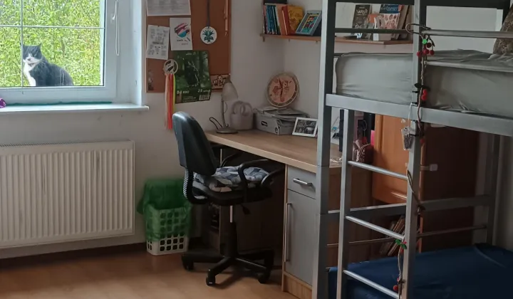 bliźniak, 7 pokoi Jasień