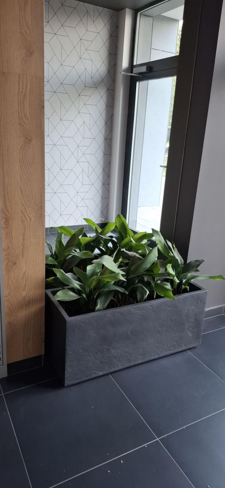 Mieszkanie 2-pokojowe Warszawa Białołęka, ul. Kościeszów. Zdjęcie 14