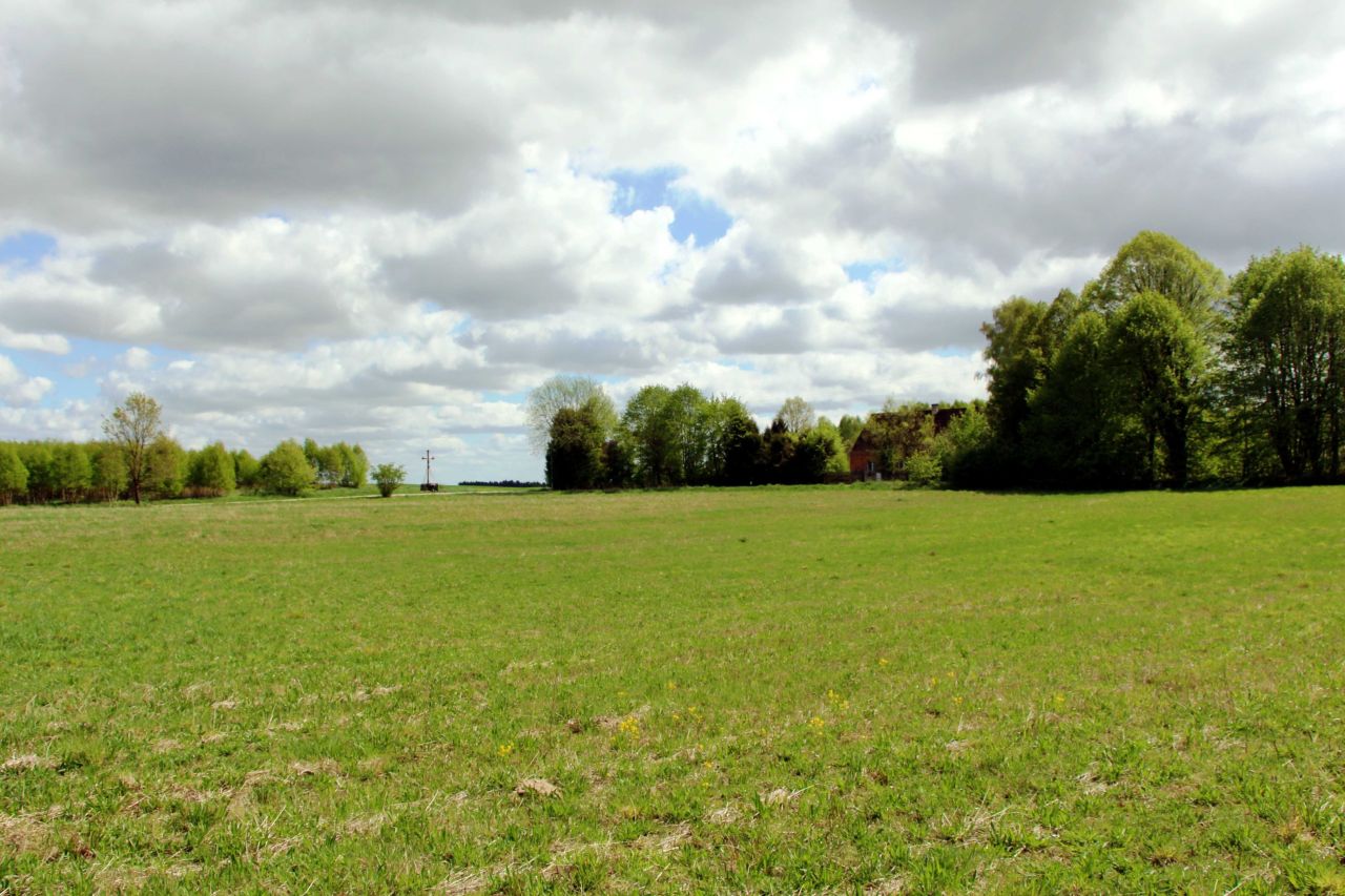 Działka budowlana Brzeziniec. Zdjęcie 6