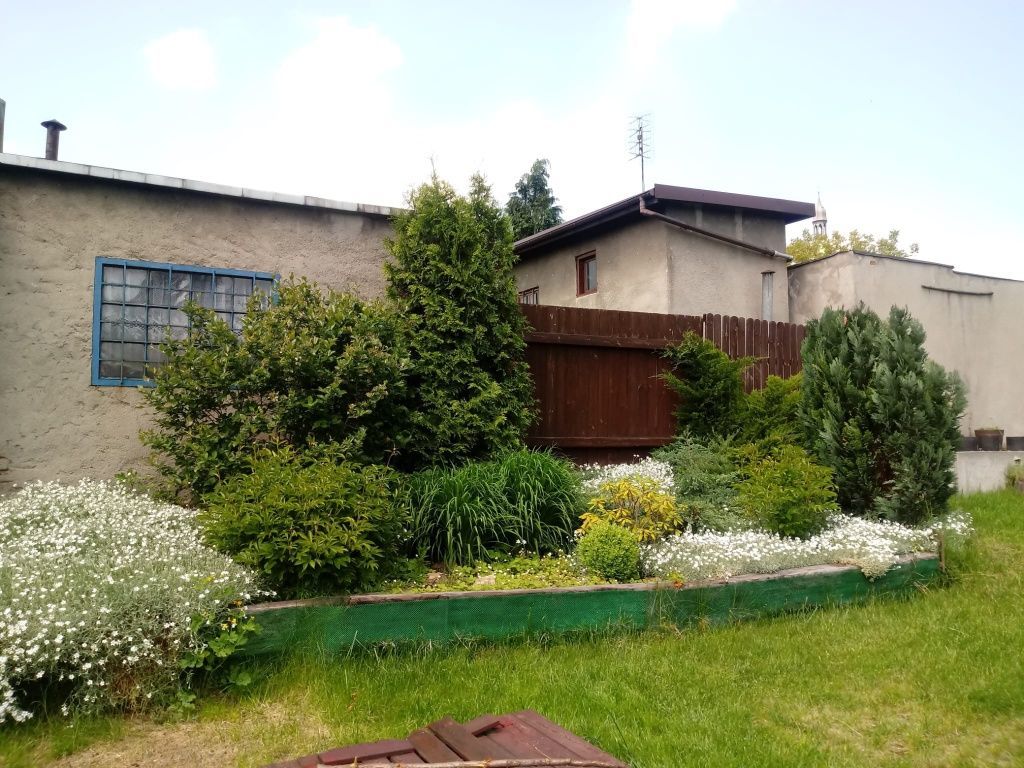 Działka rod Piekary Śląskie Brzeziny Śląskie. Zdjęcie 7