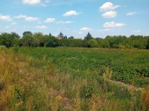 Działka Reczków Nowy. Zdjęcie 1