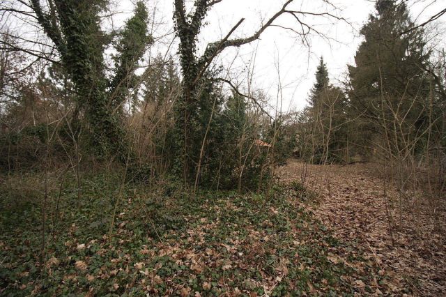 Działka budowlana Puszczykowo Puszczykówko, ul. Cyryla Ratajskiego. Zdjęcie 5