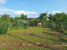 Działka rod Nysa, ul. Władysława Jagiełły. Zdjęcie 1