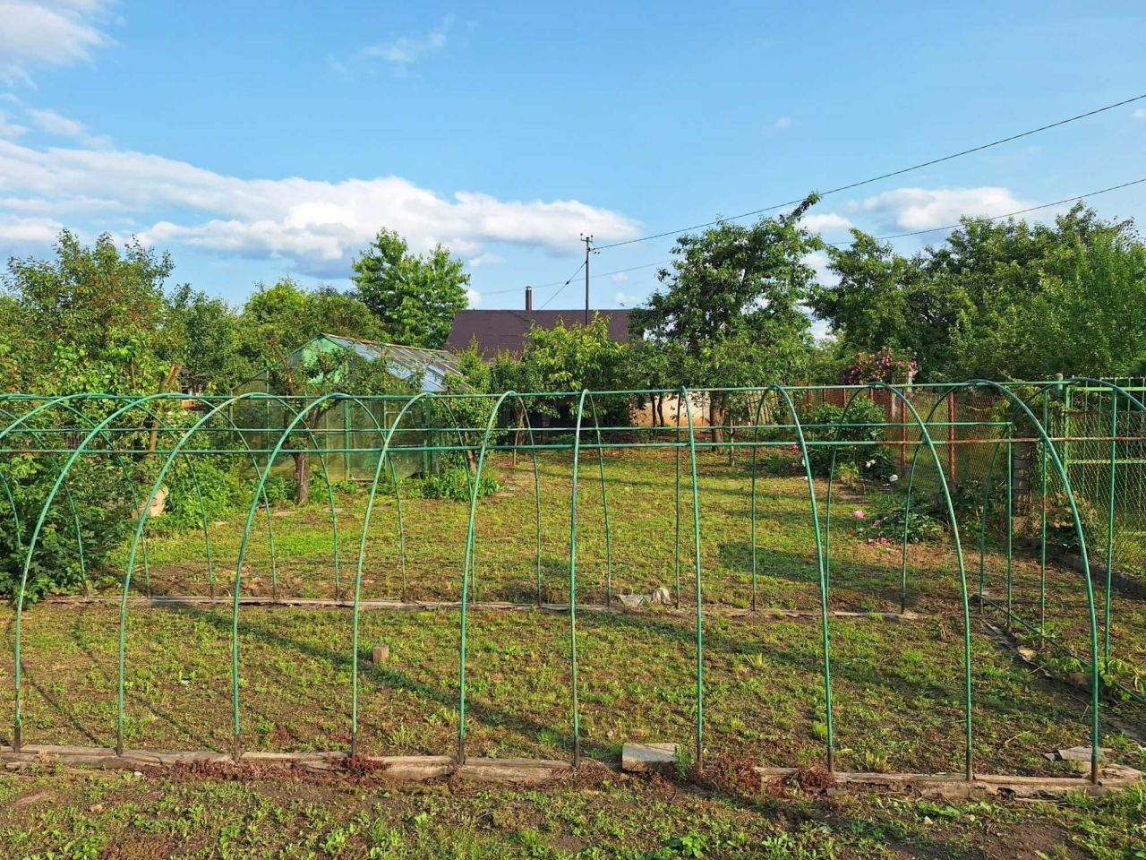 Działka rod Nysa, ul. Władysława Jagiełły. Zdjęcie 2