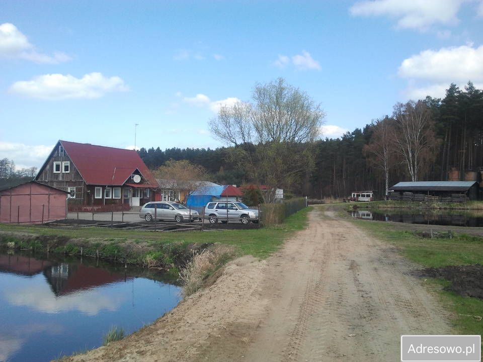 Działka rolna Trzebów