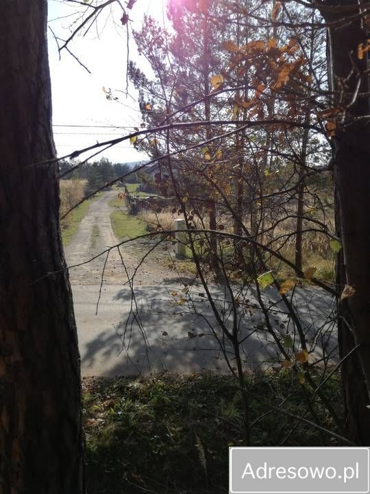 Działka budowlana Ciekoty. Zdjęcie 3