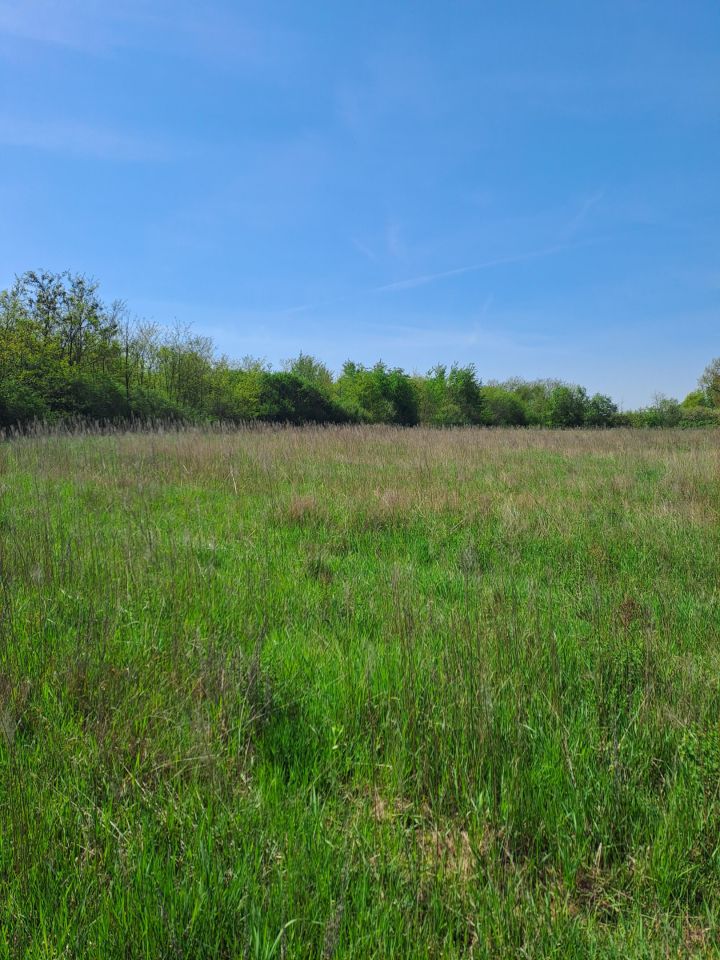 Działka budowlana Strożyska Przymiarki. Zdjęcie 15