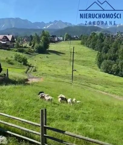 bliźniak, 4 pokoje Zakopane. Zdjęcie 6