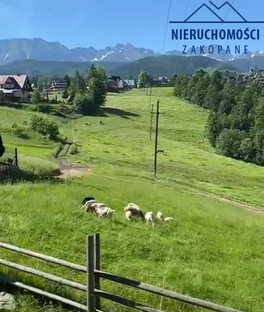 bliźniak, 4 pokoje Zakopane. Zdjęcie 6
