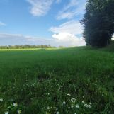 Działka rolno-budowlana Pieski. Zdjęcie 2