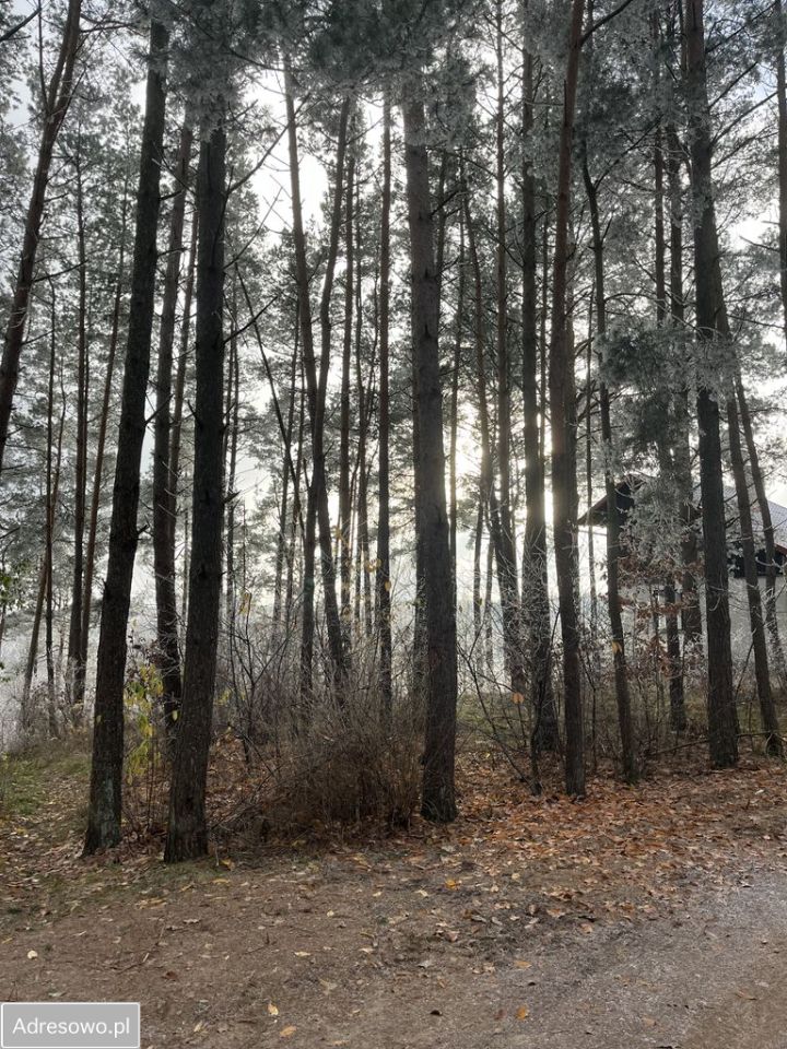 Działka rekreacyjna Łubiana. Zdjęcie 8