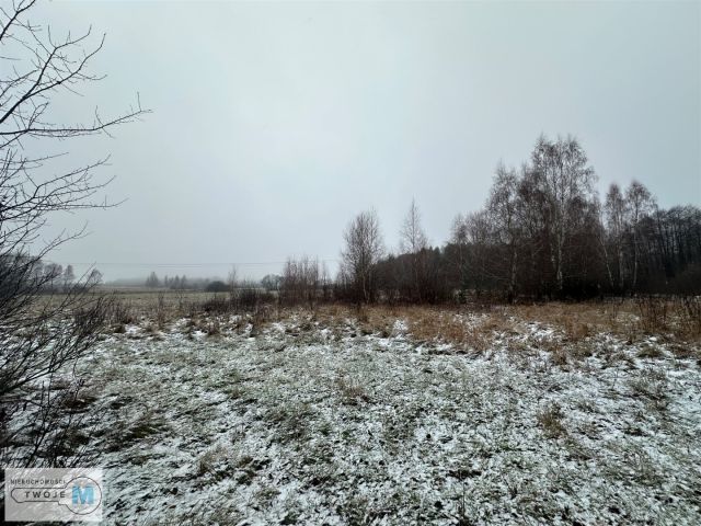 Działka rolna Śladków Duży. Zdjęcie 4