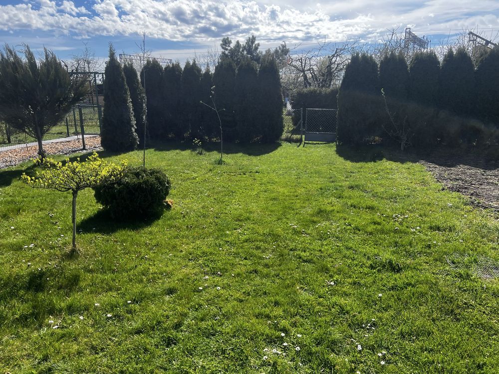 Działka rod Brzeg, ul. Nysańska. Zdjęcie 1