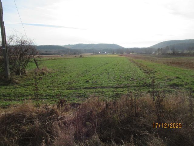 Działka rolno-budowlana Koziel. Zdjęcie 1