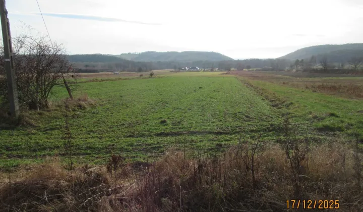 Działka rolno-budowlana Koziel