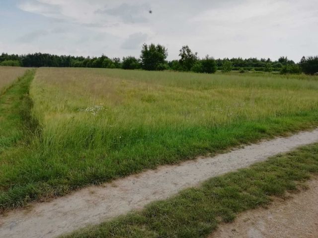 Działka budowlana Mrowla. Zdjęcie 1