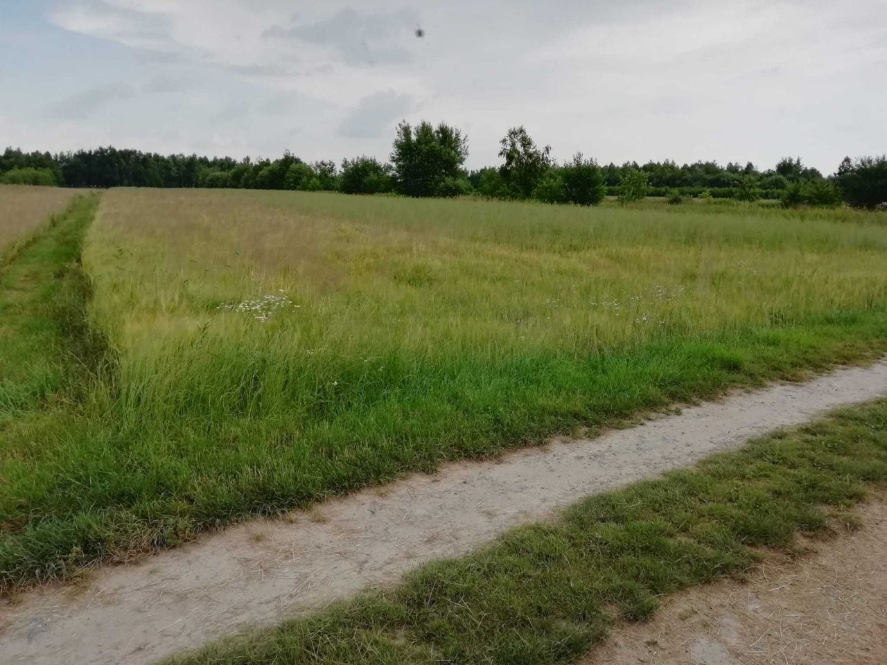 Działka budowlana Mrowla