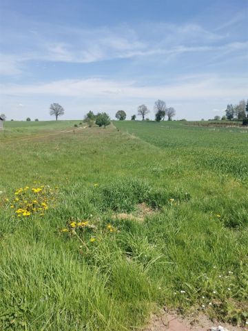 Działka rolna Katarzynów. Zdjęcie 1