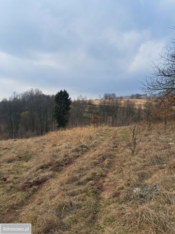 Działka rolna Bieganów. Zdjęcie 1