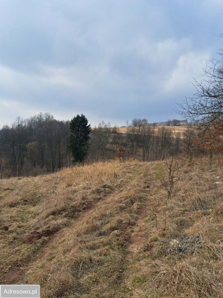 Działka rolna Bieganów. Zdjęcie 1