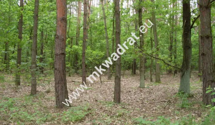 Działka budowlana Marynin