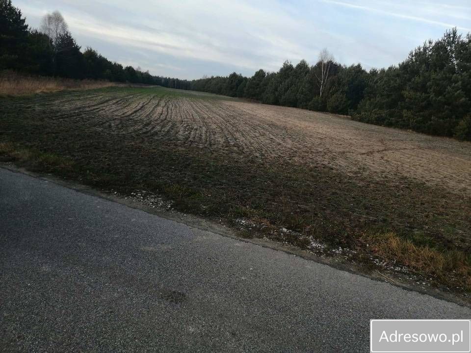 Działka rolna Olszyny