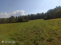 Działka rolna Berezka. Zdjęcie 1