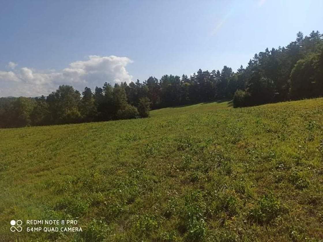 Działka rolna Berezka. Zdjęcie 2