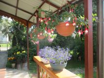 bliźniak, 2 pokoje Poturzyn. Zdjęcie 3