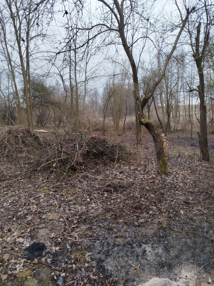 dom wolnostojący, 2 pokoje Średnie Duże. Zdjęcie 2