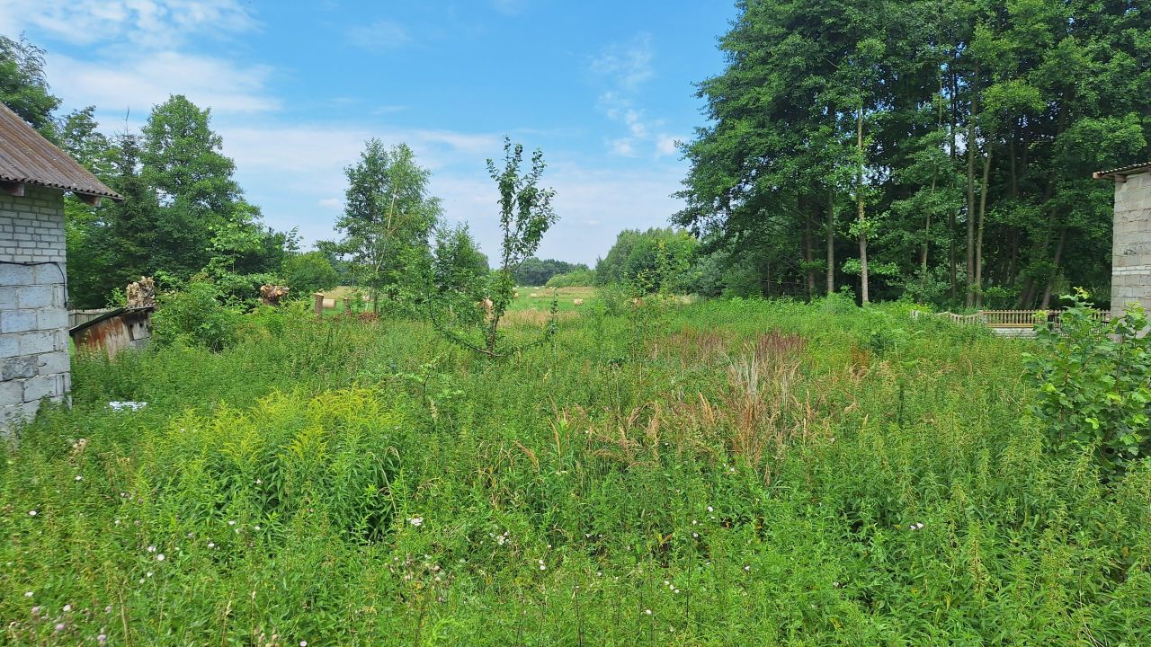 Działka rolno-budowlana Pągów. Zdjęcie 5
