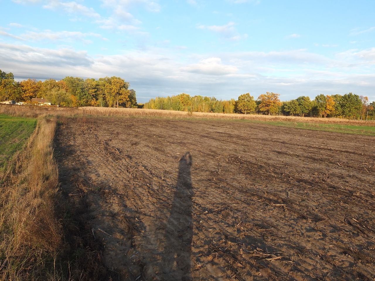 Działka budowlana Janów Ruszki. Zdjęcie 10