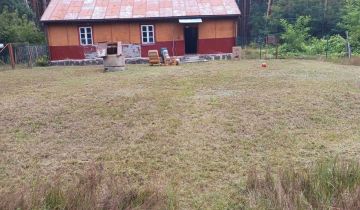 Działka siedliskowa Damianów