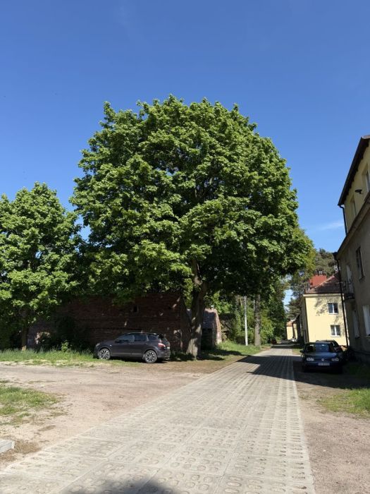 Mieszkanie 2-pokojowe Gdańsk Górki Zachodnie, ul. Łowicka. Zdjęcie 12