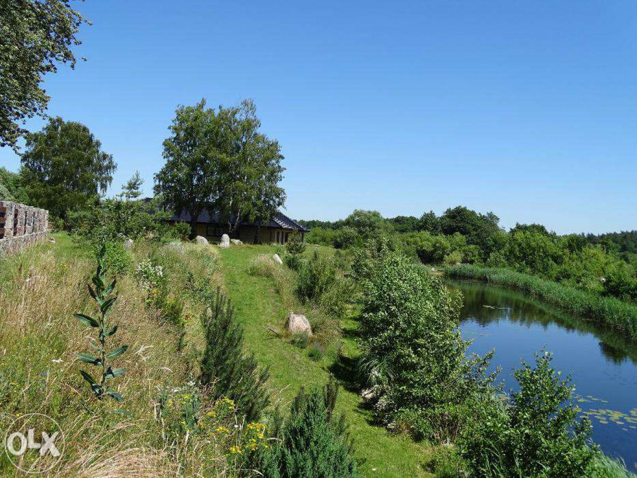 Działka siedliskowa Kobylnica. Zdjęcie 5