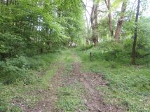 Działka rekreacyjna Kobylany Łączki, ul. Konwaliowa. Zdjęcie 1