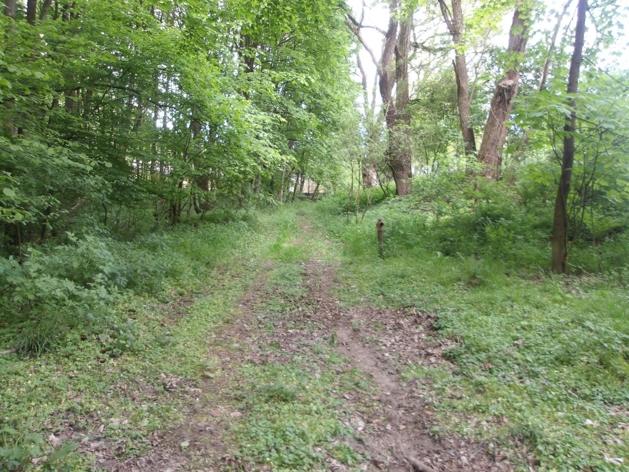 Działka rekreacyjna Kobylany Łączki, ul. Konwaliowa. Zdjęcie 2