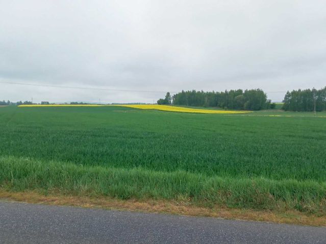 Działka rolna Radziechów. Zdjęcie 1