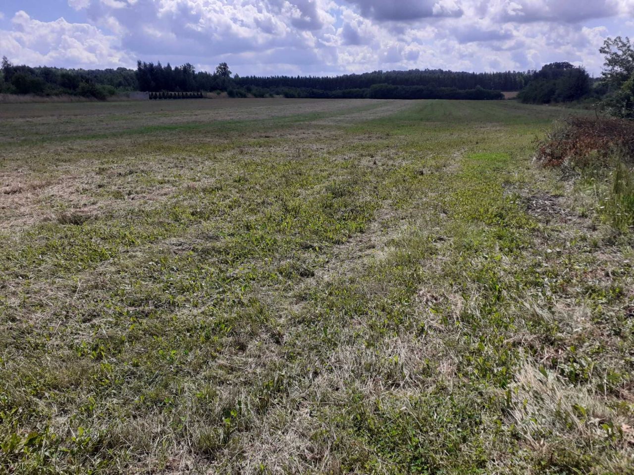 Działka rolna Moszczenica. Zdjęcie 5
