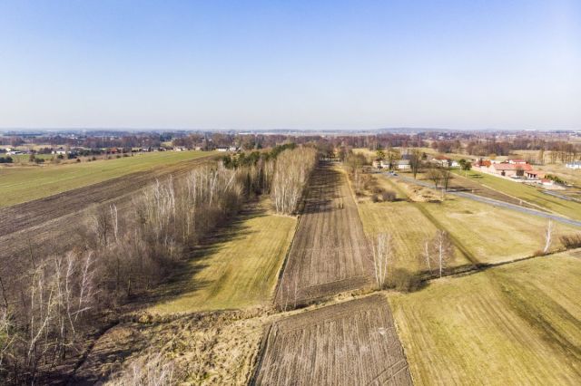 Działka inwestycyjna Huta Wiskicka. Zdjęcie 13