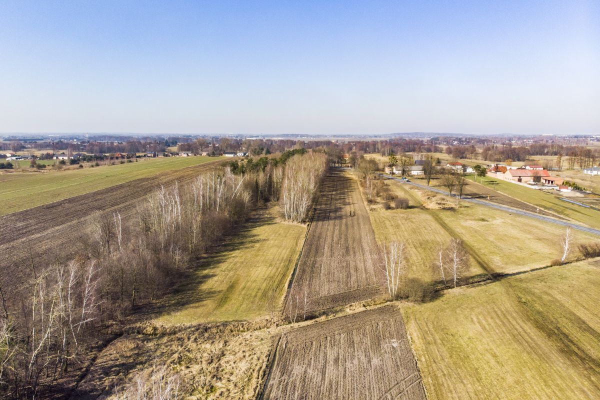 Działka inwestycyjna Huta Wiskicka. Zdjęcie 13