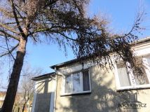 dom wolnostojący, 4 pokoje Wrocław Fabryczna, ul. Sukielicka