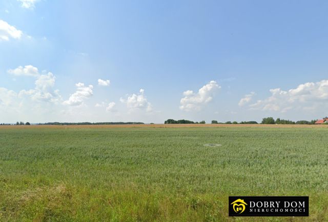 Działka budowlana Pogorzałki. Zdjęcie 2