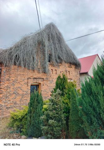 dom wolnostojący Dziedzice. Zdjęcie 1