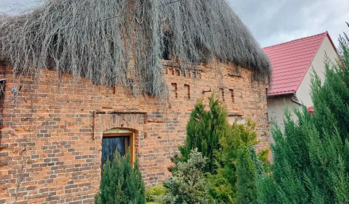 dom wolnostojący Dziedzice