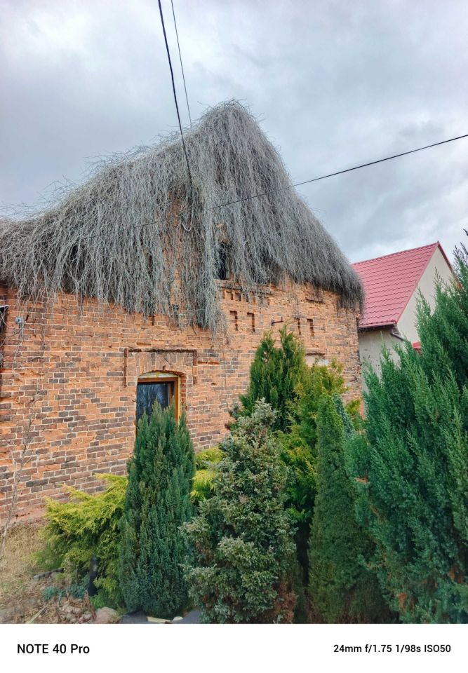 dom wolnostojący Dziedzice. Zdjęcie 1