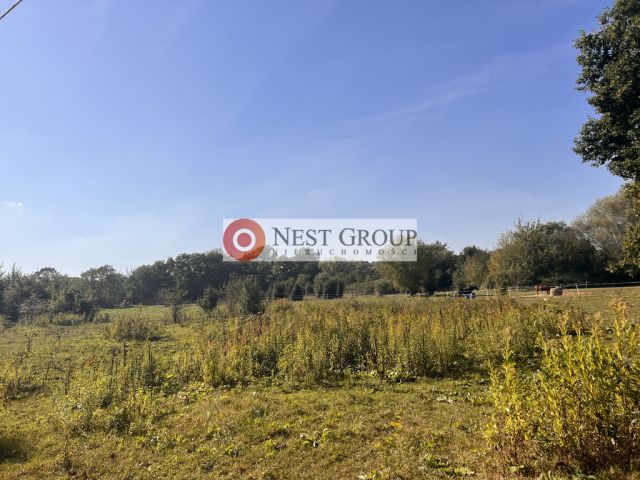 Działka inwestycyjna Skierdy, ul. Lipowa. Zdjęcie 15