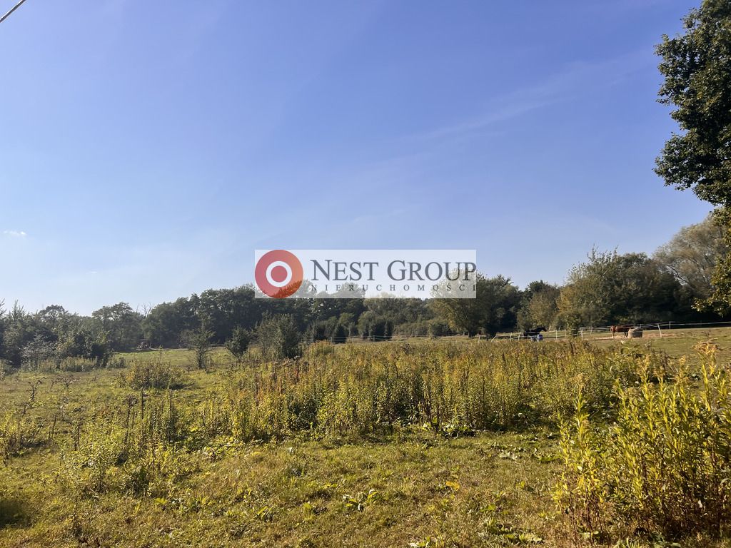 Działka inwestycyjna Skierdy, ul. Lipowa. Zdjęcie 15