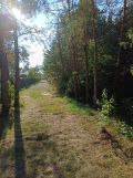 Działka rekreacyjna Barkowice, ul. Spacerowa. Zdjęcie 2
