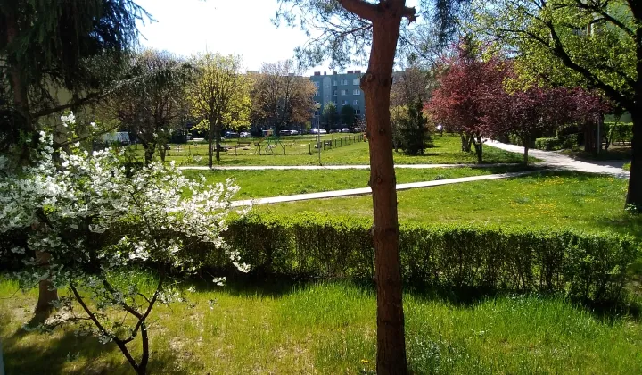 Mieszkanie 3-pokojowe Świdnica